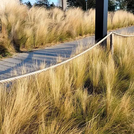 Appartement Seestern *