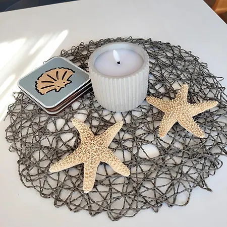 Seestern Appartement Schillig