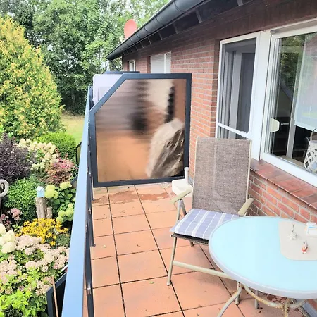 Seestern Inkl Strandkorb Am