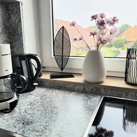 Seestern Inkl Strandkorb Am Apartament Horumersiel