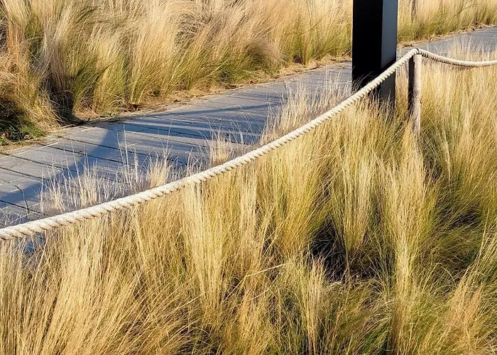 Appartement Seestern *